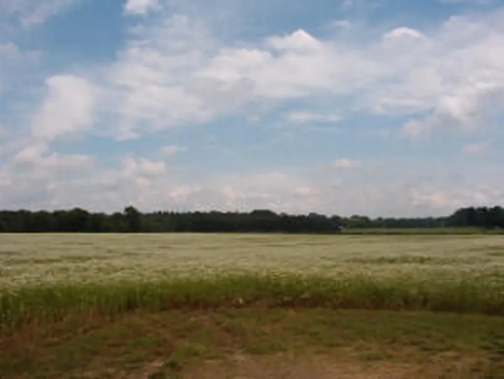 2154 17 Mile Road Tyrone Township MI 49330