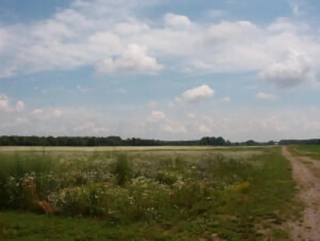 2154 17 Mile Road Tyrone Township MI 49330