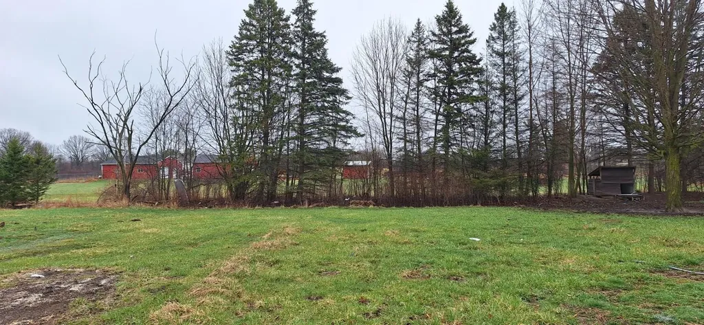 1251 E Station Road Bushnell Township MI 48884