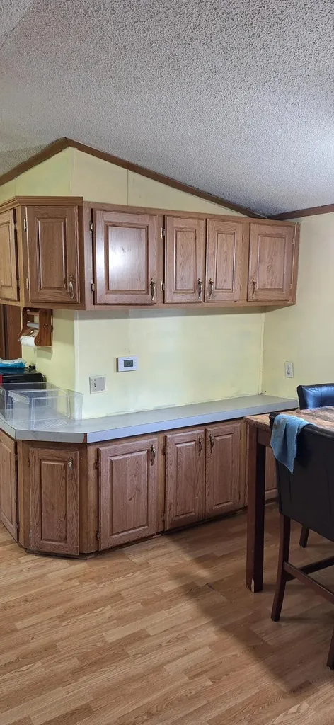 1251 E Station Road Bushnell Township MI 48884