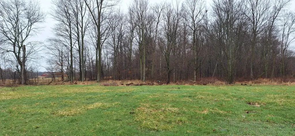 1251 E Station Road Bushnell Township MI 48884
