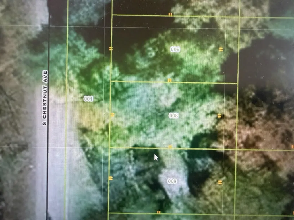 3430 S Chestnut Avenue Big Prairie Township MI 49337