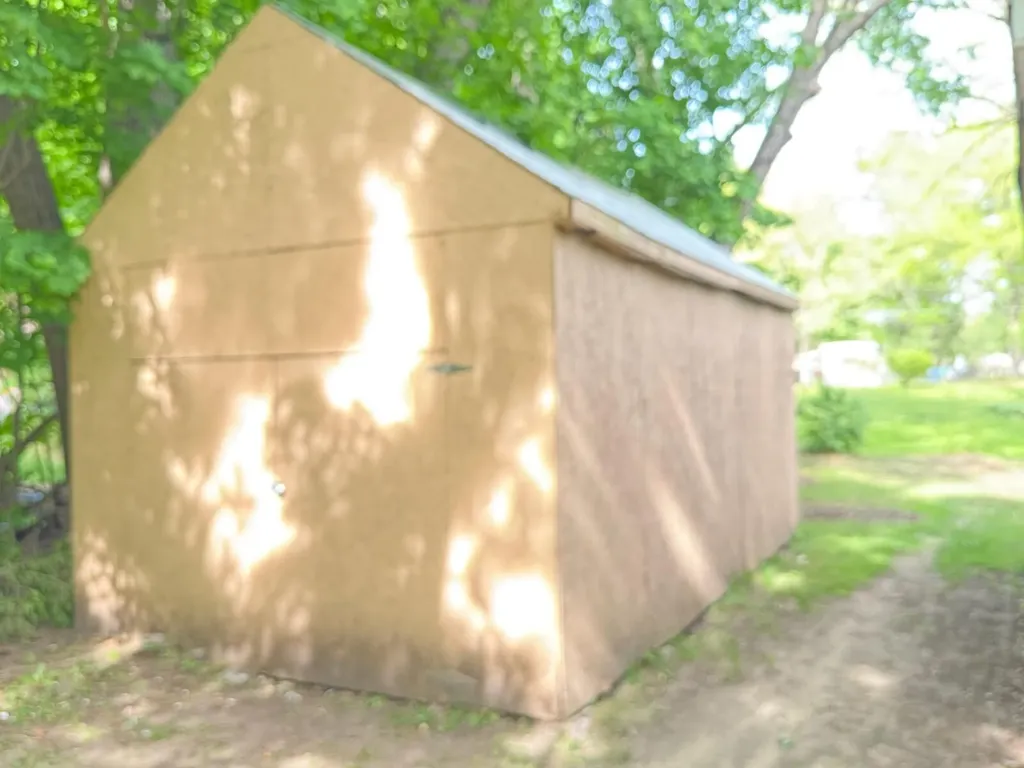 3430 S Chestnut Avenue Big Prairie Township MI 49337