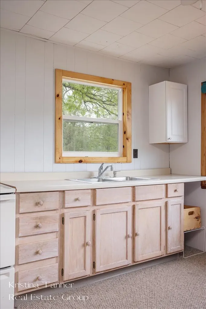 13737 Lower Bayside Drive Grattan Township MI 48809