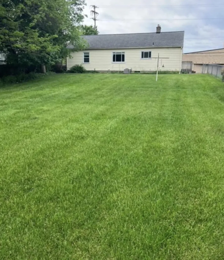 1635 Burton Street SE Grand Rapids City MI 49506