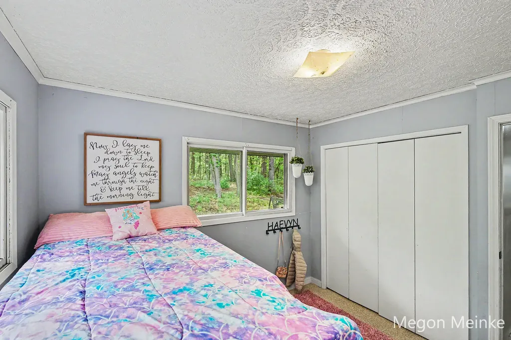 10231 Morgan Mills Road NE Oakfield Township MI 48838