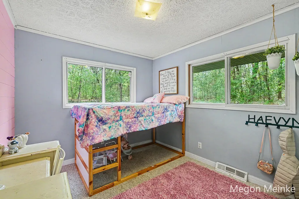 10231 Morgan Mills Road NE Oakfield Township MI 48838