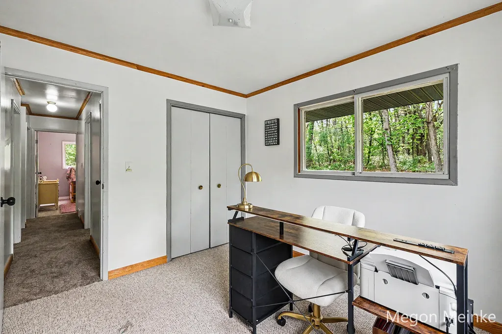 10231 Morgan Mills Road NE Oakfield Township MI 48838