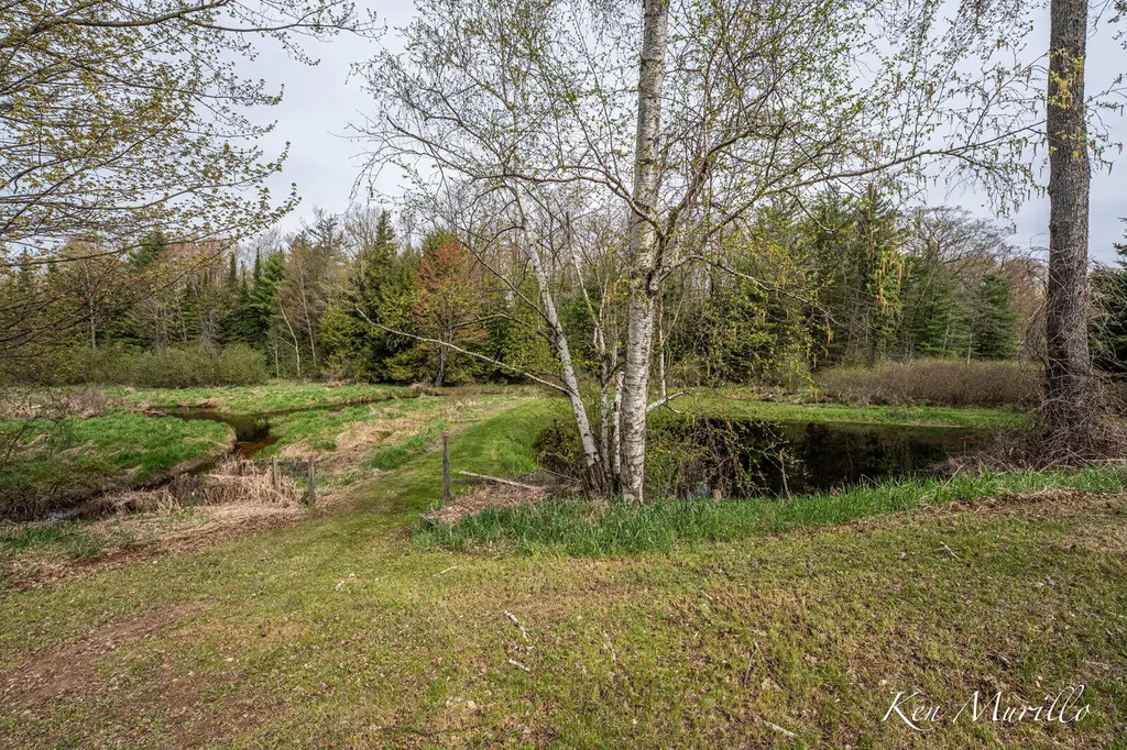 1519 N Roscommon Road Markey Township MI 48653