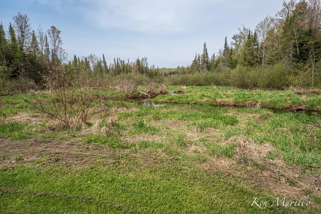 1519 N Roscommon Road Markey Township MI 48653