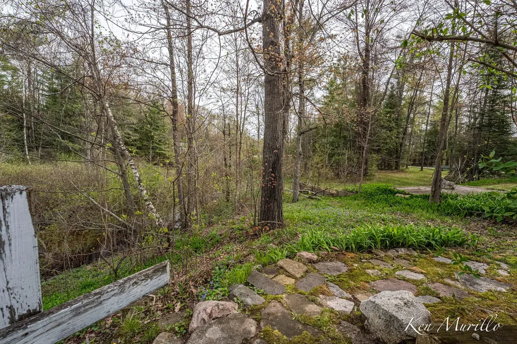 1519 N Roscommon Road Markey Township MI 48653