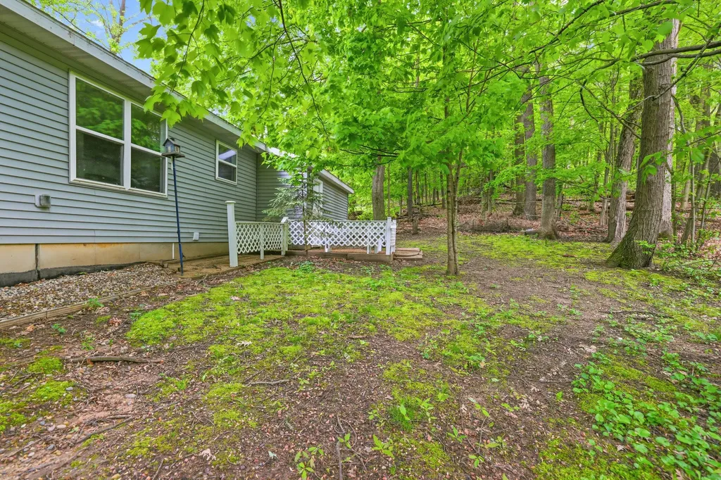 8759 Brower Lake Drive NE Courtland Township MI 49341