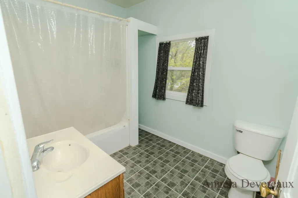 110 E Main Street Edmore Village MI 48829