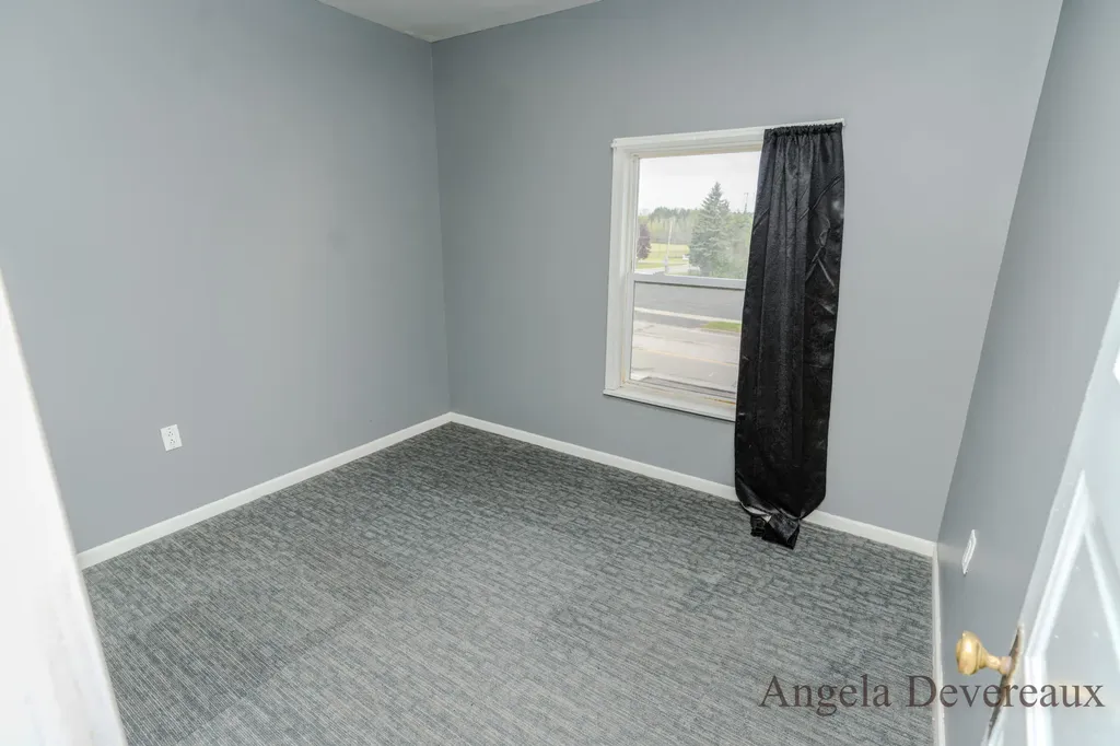 110 E Main Street Edmore Village MI 48829
