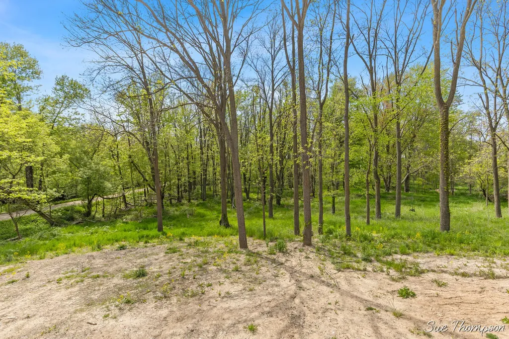 1751 E Boyer Road Bushnell Township MI 48834