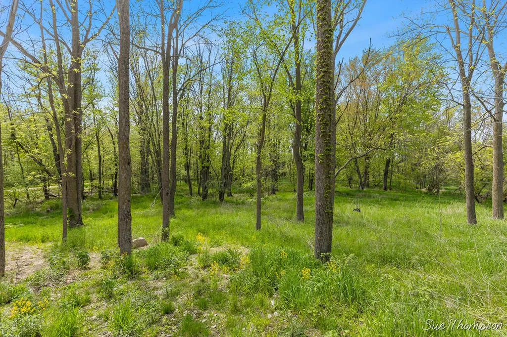 1751 E Boyer Road Bushnell Township MI 48834