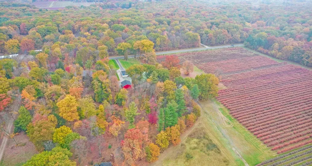13298 Rich Street Robinson Township MI 49417