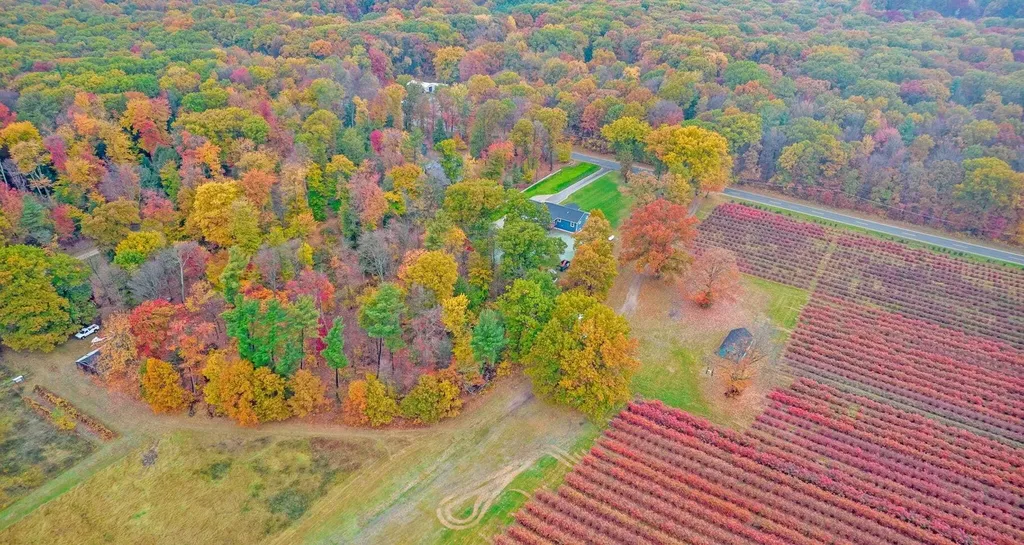 13298 Rich Street Robinson Township MI 49417