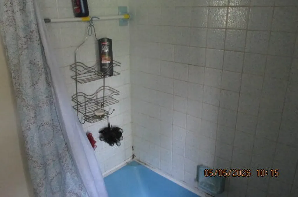 207 Cherry Street Allegan City MI 49010