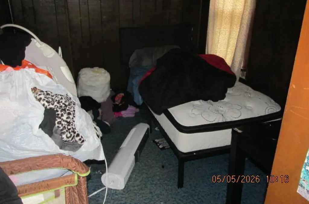 207 Cherry Street Allegan City MI 49010