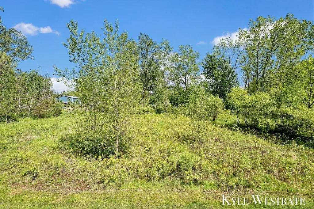 10886 Douglas Drive Allendale Charter Township MI 49401
