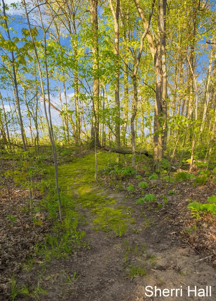 7861 S West County Line Road Eureka Township MI 48838