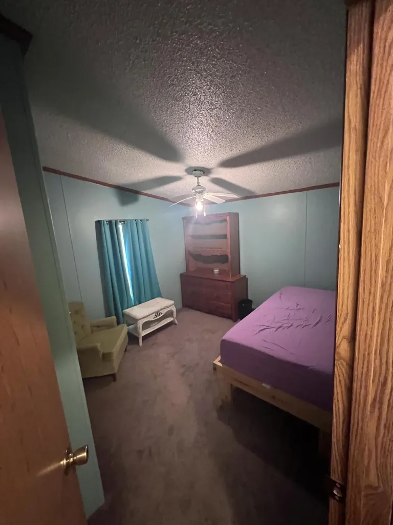 5932 E Partridge Lane Big Prairie Township MI 49337