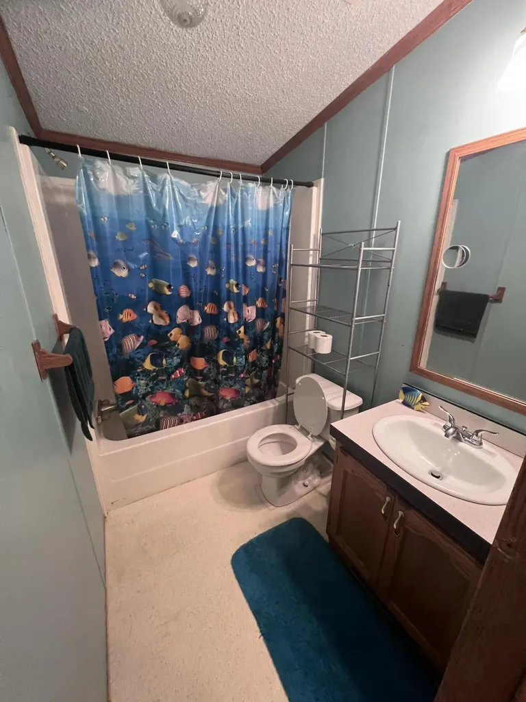 5932 E Partridge Lane Big Prairie Township MI 49337