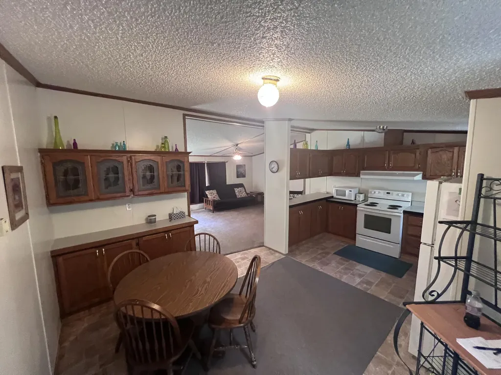 5932 E Partridge Lane Big Prairie Township MI 49337