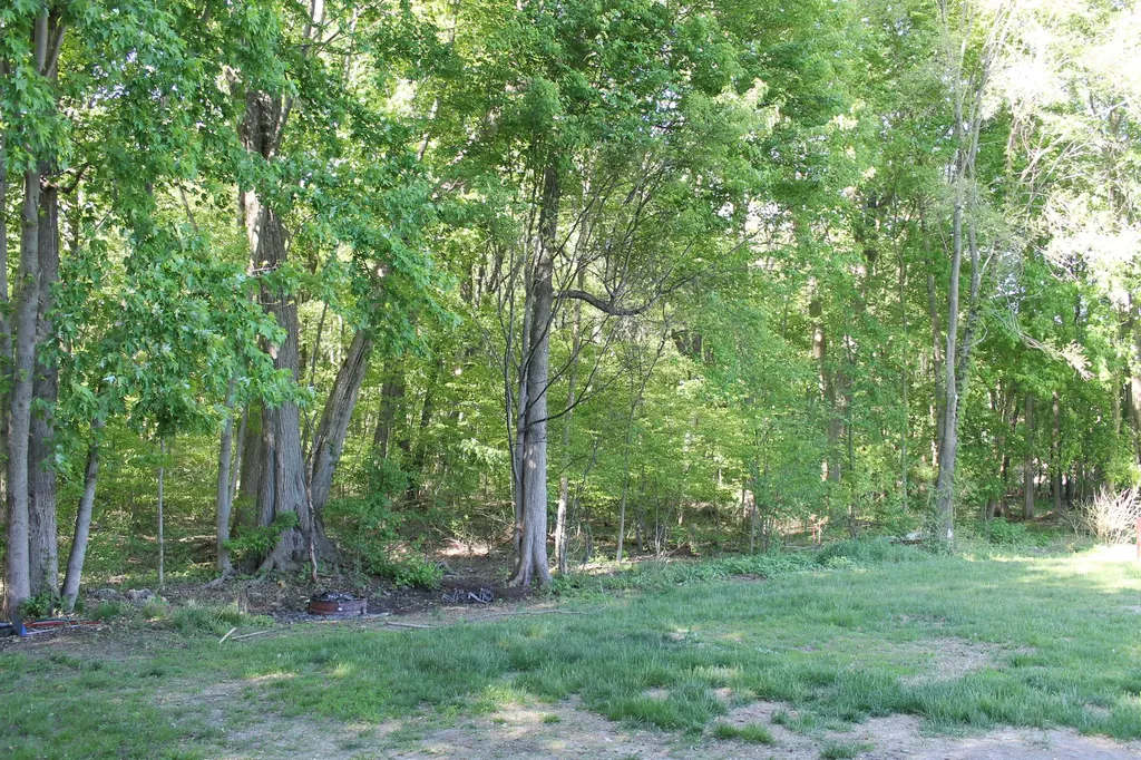 12768 Valley Drive Yankee Springs Township MI 49348