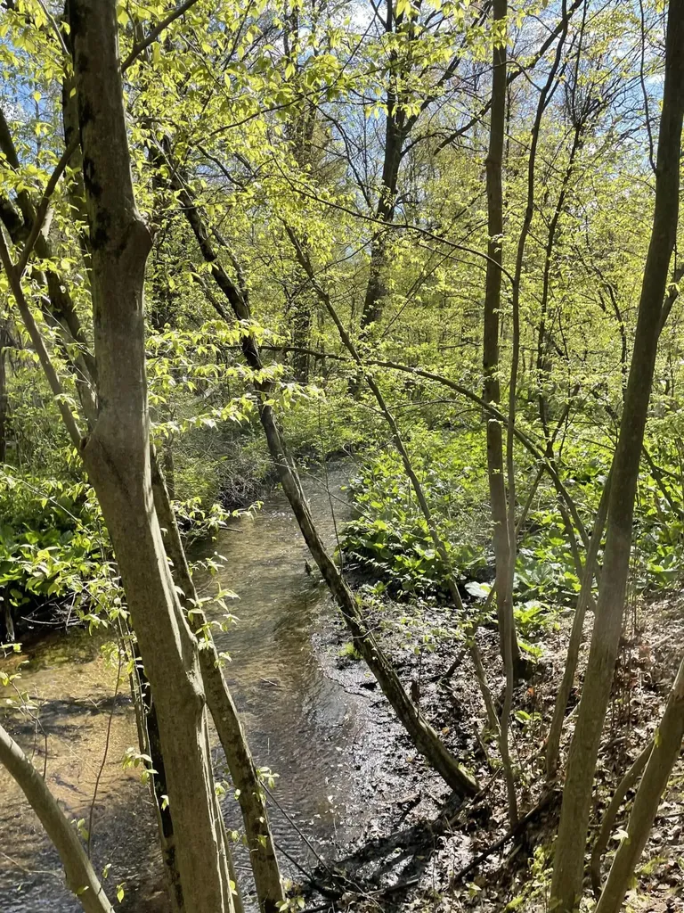 8250 Rum Creek Trail NE Cannon Township MI 49341