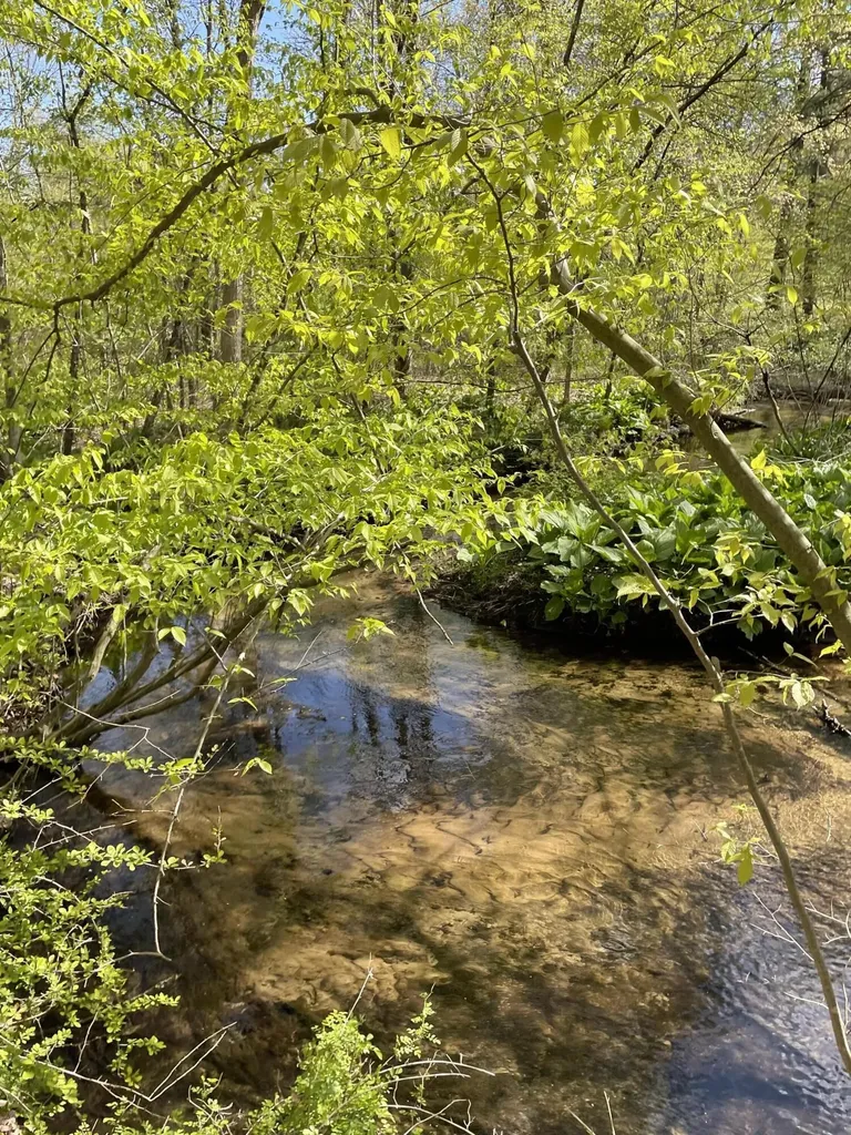 8250 Rum Creek Trail NE Cannon Township MI 49341