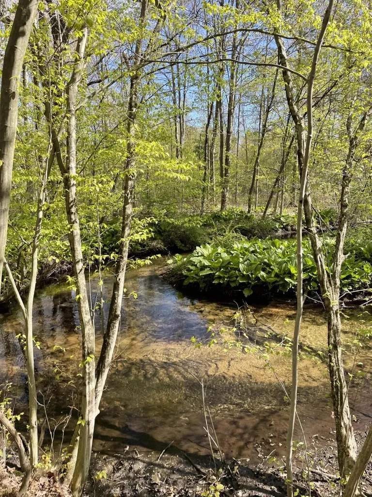 8250 Rum Creek Trail NE Cannon Township MI 49341
