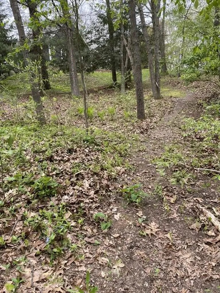 8250 Rum Creek Trail NE Cannon Township MI 49341