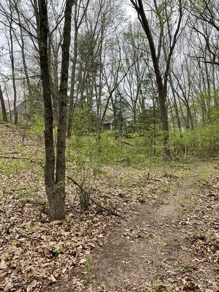 8250 Rum Creek Trail NE Cannon Township MI 49341