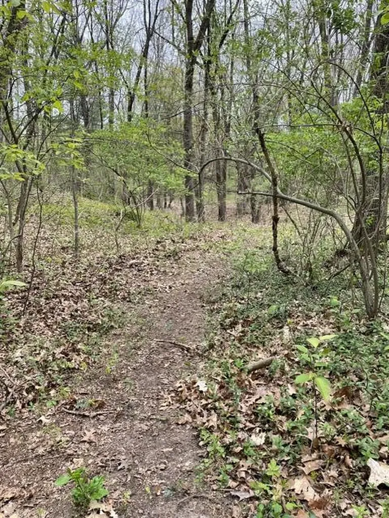 8250 Rum Creek Trail NE Cannon Township MI 49341