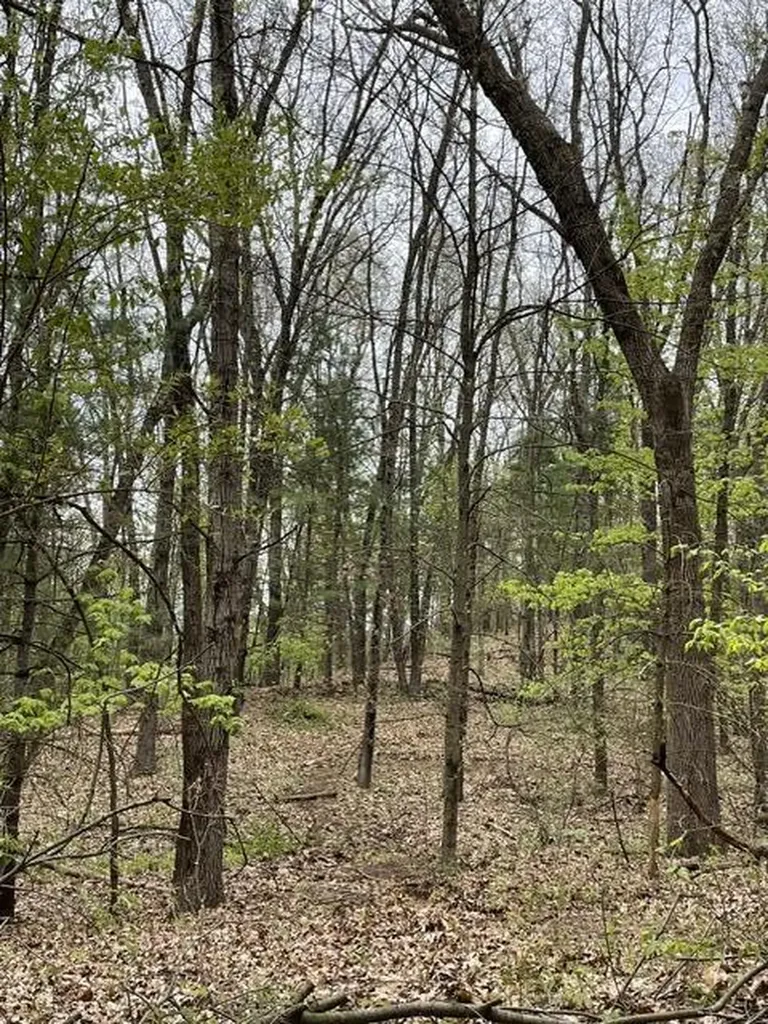 8250 Rum Creek Trail NE Cannon Township MI 49341