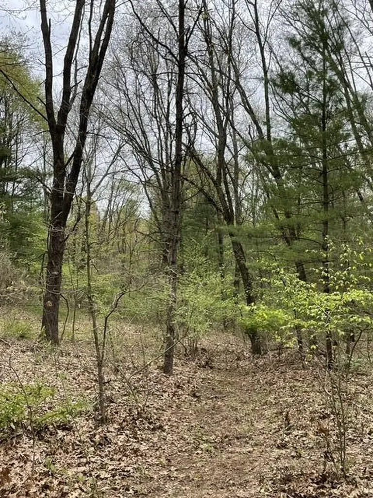 8250 Rum Creek Trail NE Cannon Township MI 49341