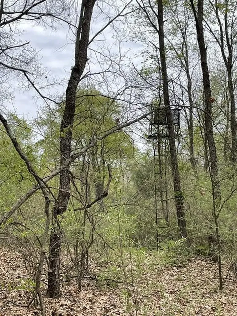 8250 Rum Creek Trail NE Cannon Township MI 49341