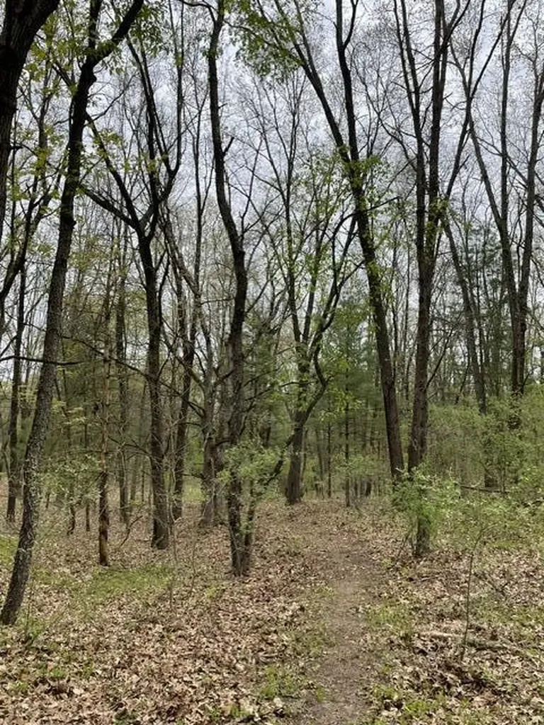 8250 Rum Creek Trail NE Cannon Township MI 49341
