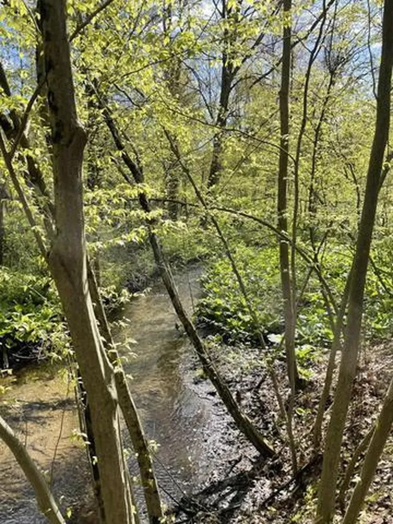 8250 Rum Creek Trail NE Cannon Township MI 49341