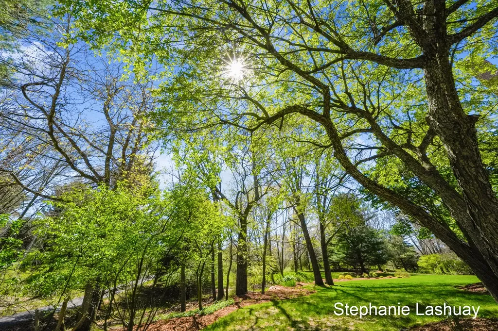 8250 Rum Creek Trail NE Cannon Township MI 49341