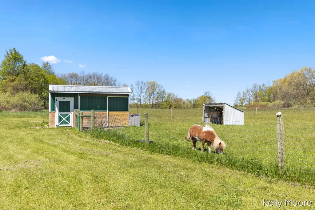 11117 W Snows Lake Road Eureka Township MI 48838