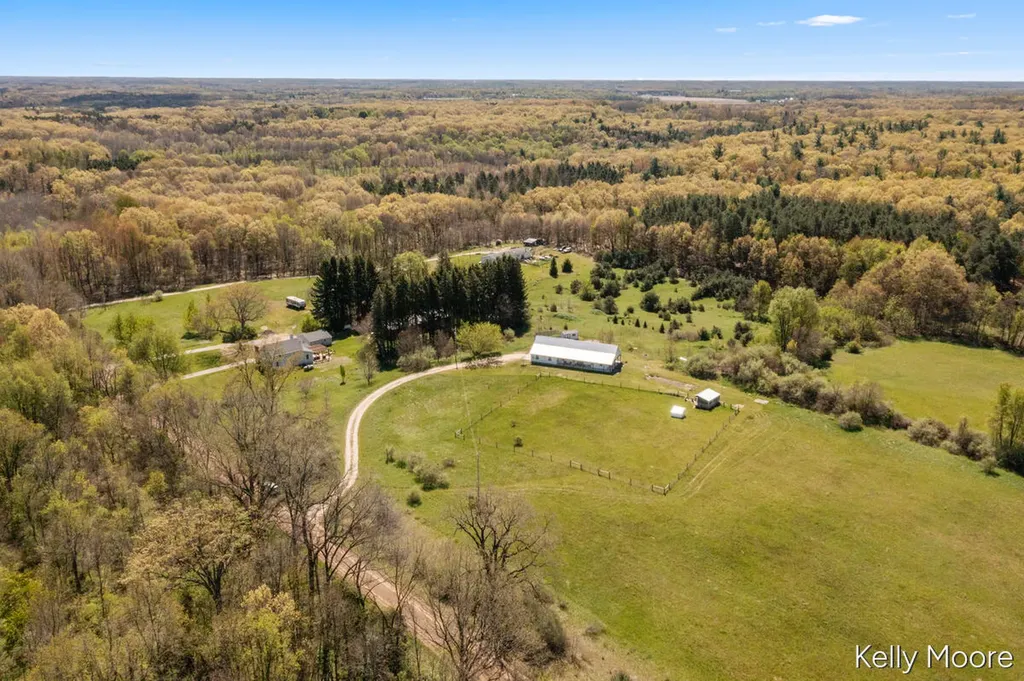 11117 W Snows Lake Road Eureka Township MI 48838