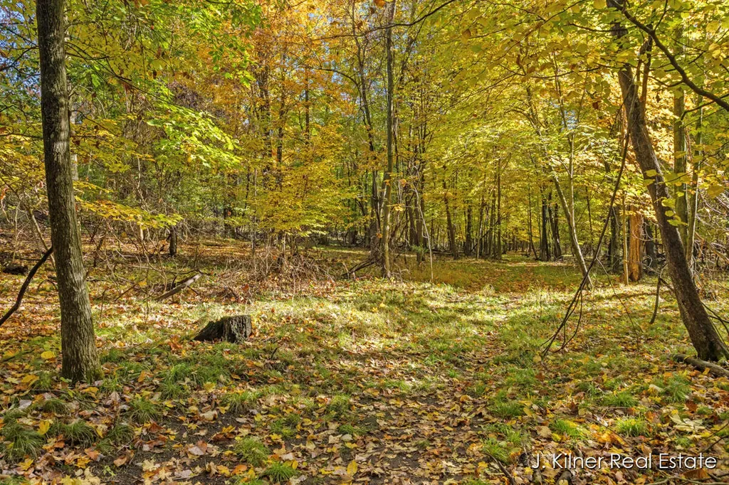 4390 22 Mile Road NW Tyrone Township MI 49330