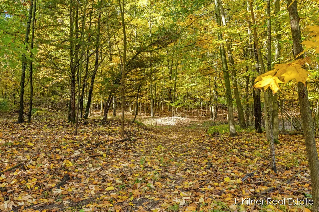 4390 22 Mile Road NW Tyrone Township MI 49330