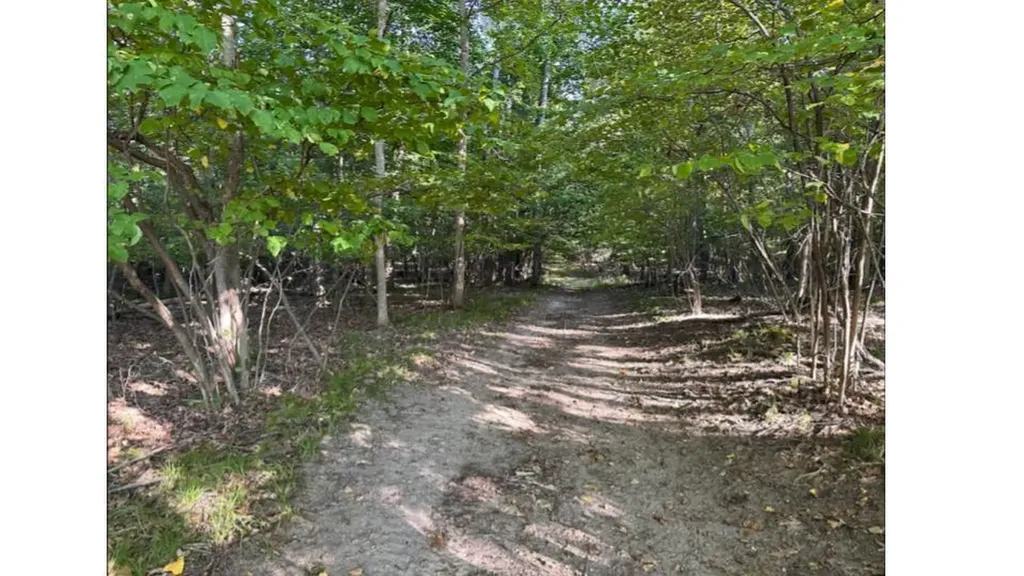 4390 22 Mile Road NW Tyrone Township MI 49330