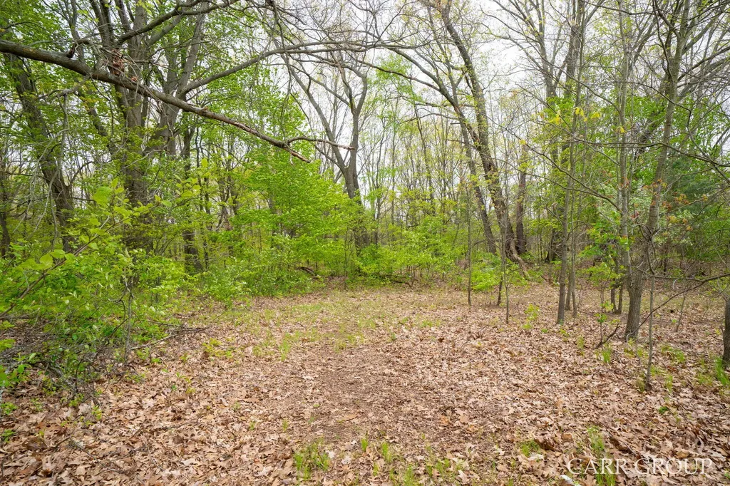 3346 Babylon Road Allegan Township MI 49010