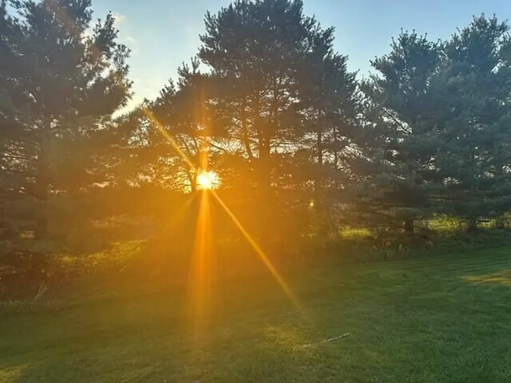 13633 Iris Lane Solon Township MI 49319