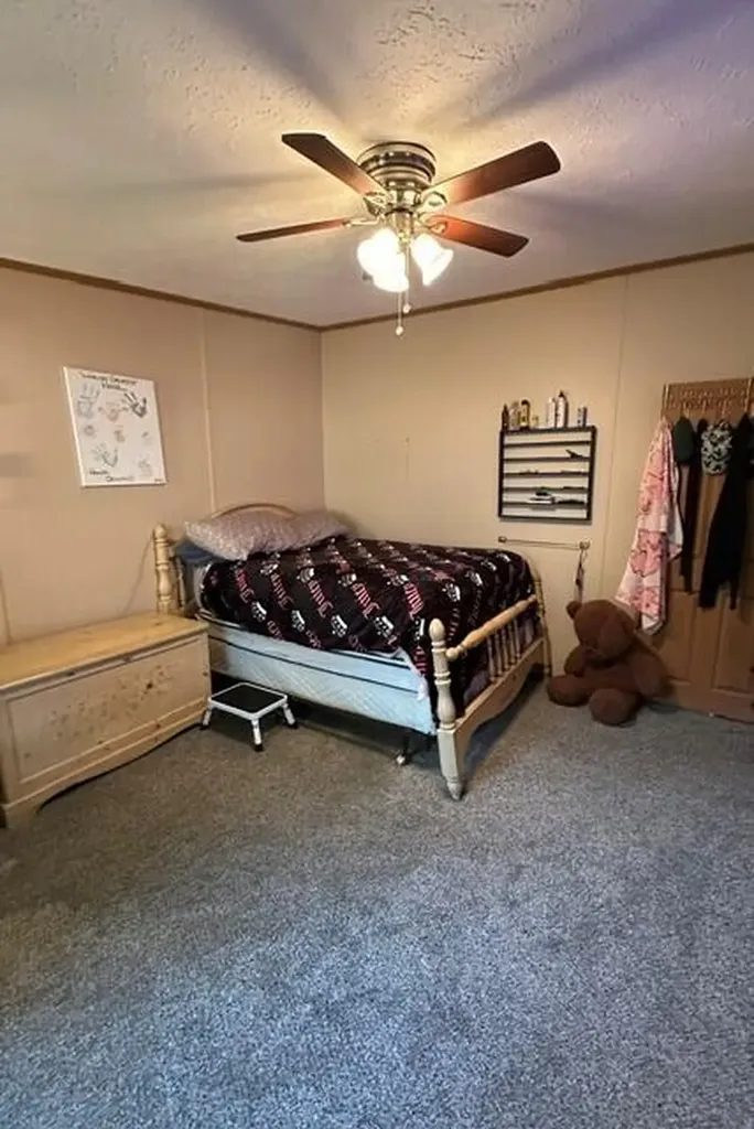 13633 Iris Lane Solon Township MI 49319